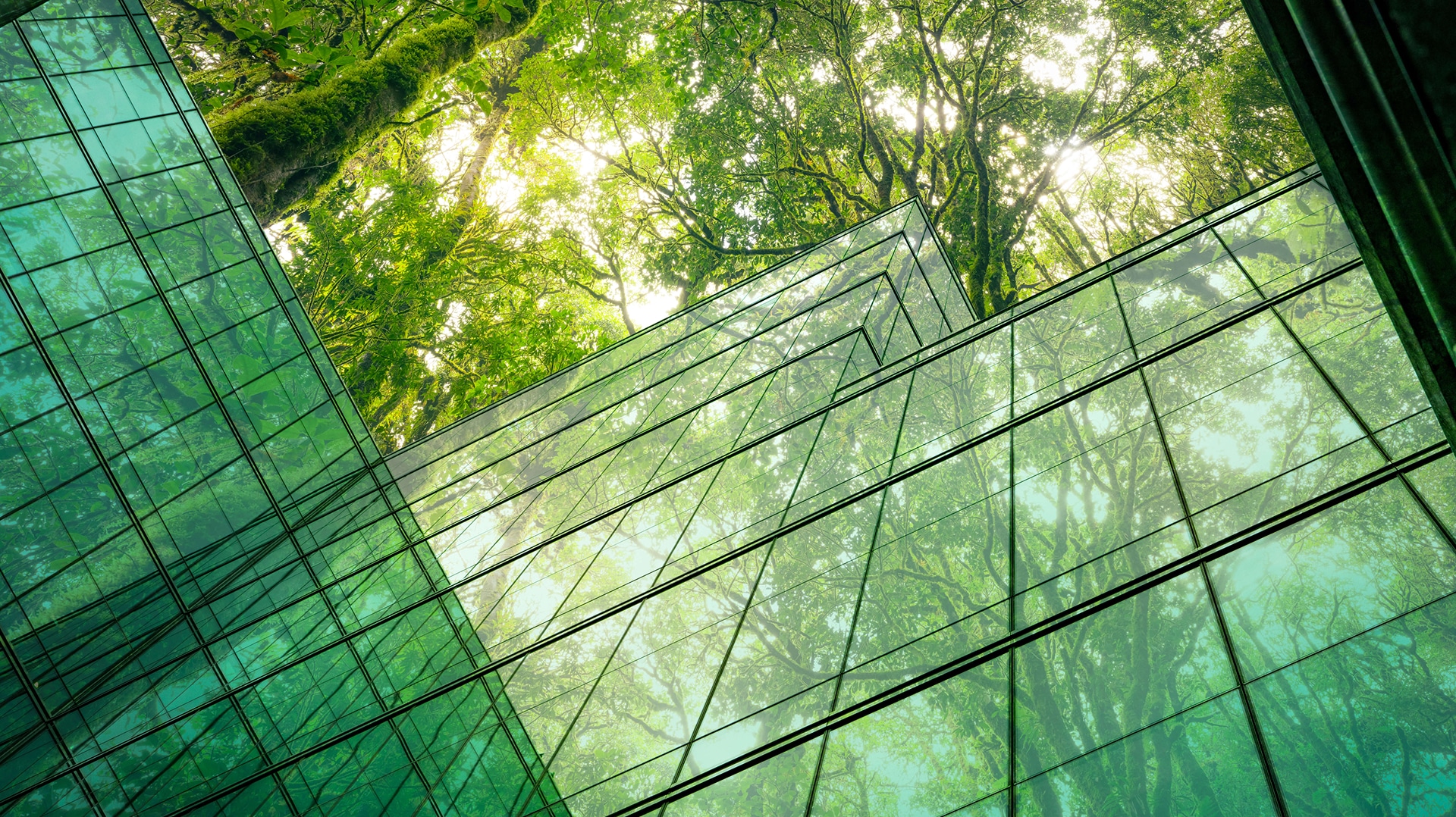 Photo Le Genius Loci 2