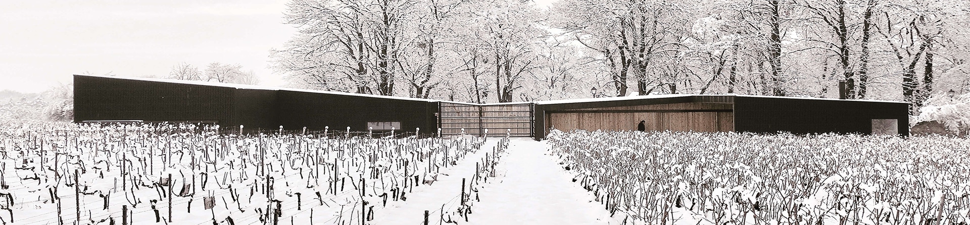 Photo header - chai à la salle de dégustation