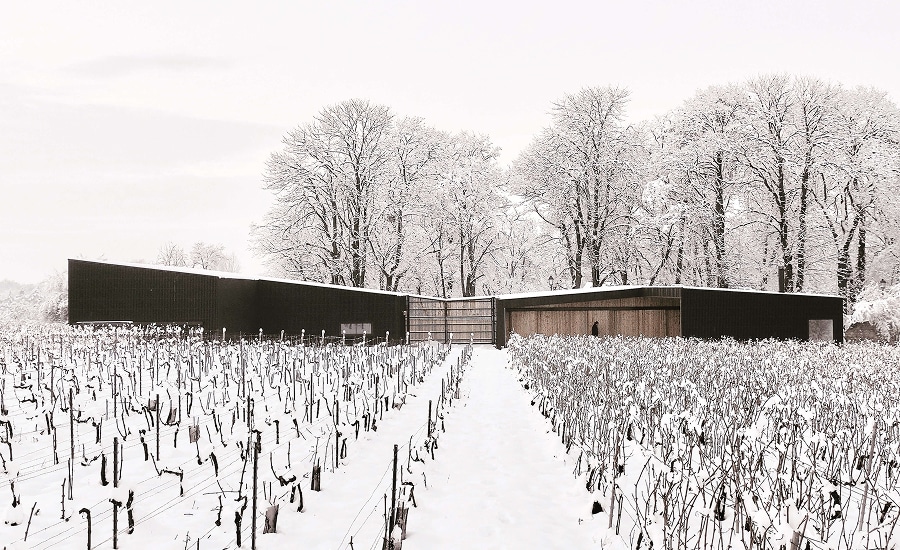 Du chai à la salle de dégustation : concevoir un parcours du vin